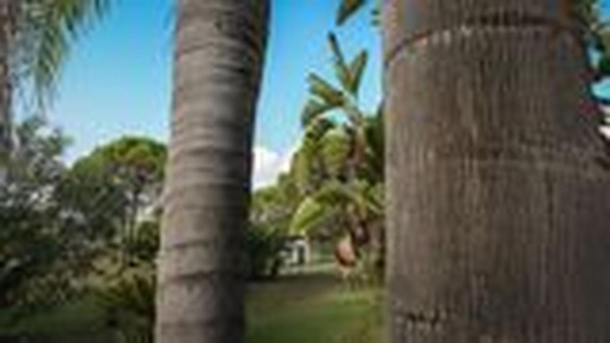 Welcomely - Villa Adele Costa Rei Exterior foto